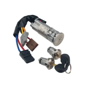 Zündschloss Ersatz für Aixam und Chatenet Fahrzeuge