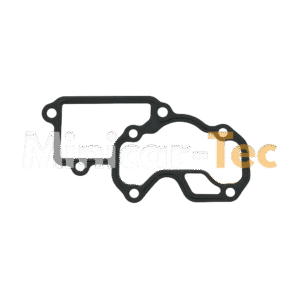 Ansaugkrümmerdichtung Lombardini LDW 502 Original