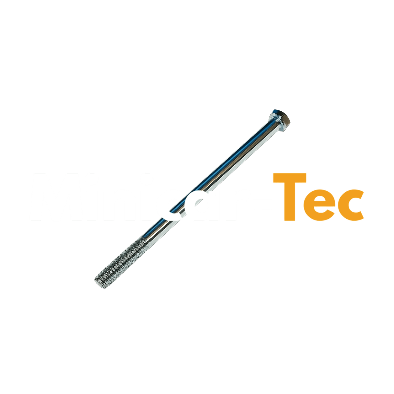 Original Getriebeschraube M10x220 für Ligier X-Too