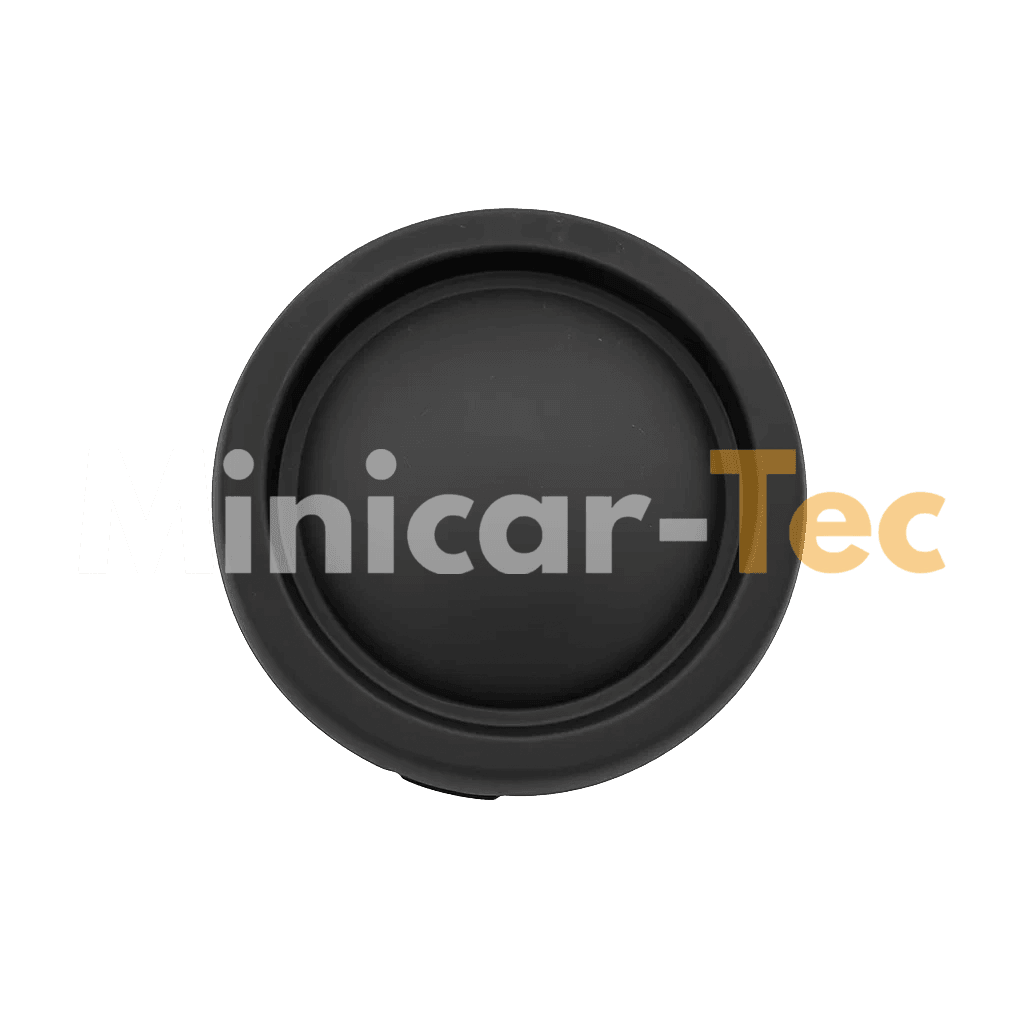 Abdeckung Nebelscheinwerfer Aixam Minicar-Tec Ersatzteil
