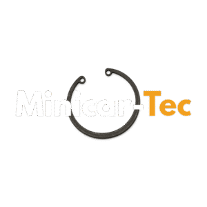 Sprengring Radlager hinten für Microcar und Ligier