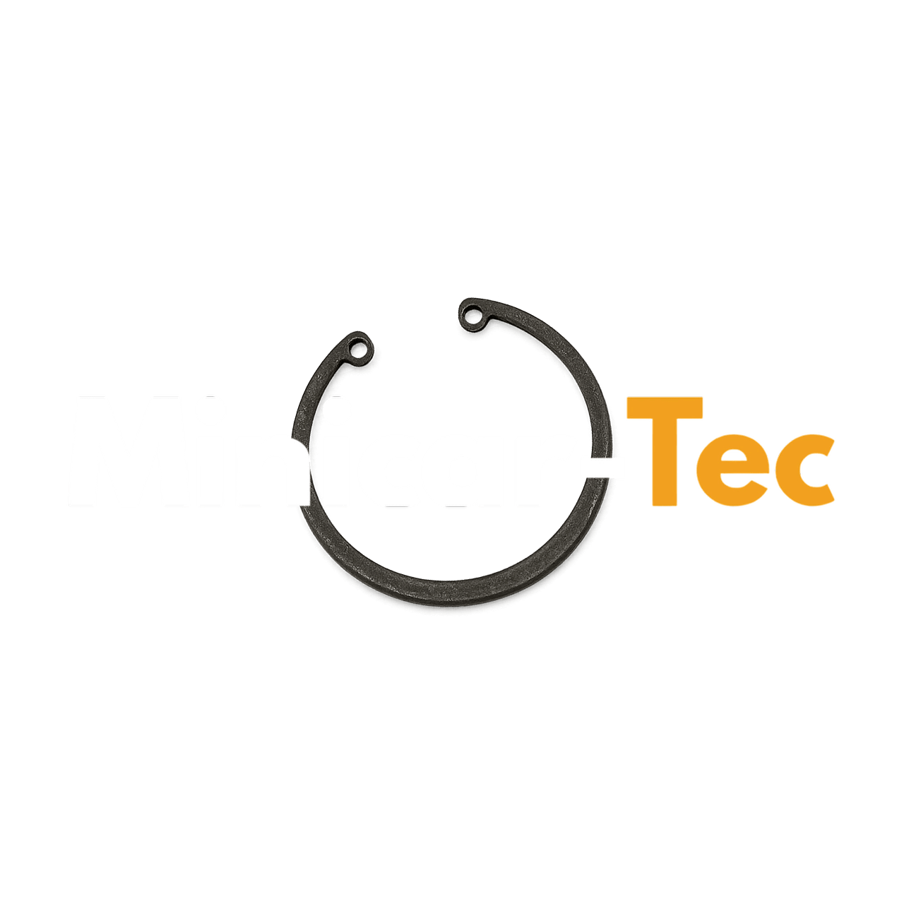 Sprengring Radlager hinten für Microcar und Ligier