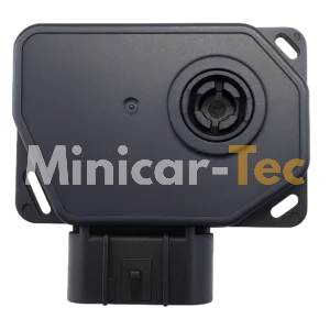 Gaspotentiometer für Minicar mit Lombardini DCI-Motor